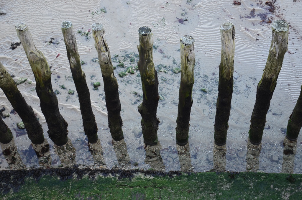 2016-12 France/St Malo/DSC_1037.JPG